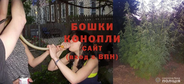 МДПВ Богородск