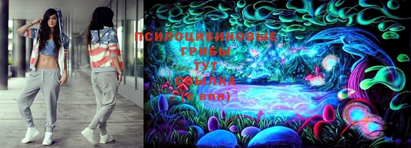 крисы Белоозёрский