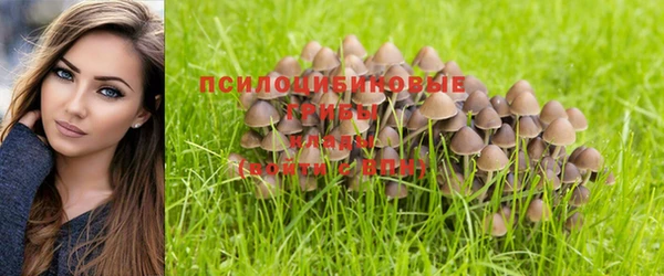 амфетамин Богданович