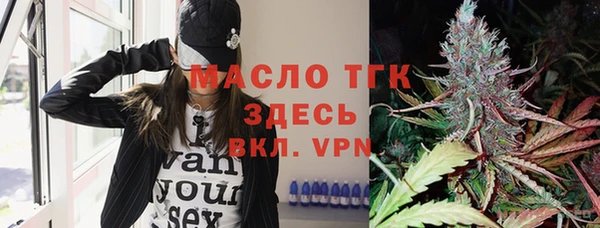 МДПВ Богородск