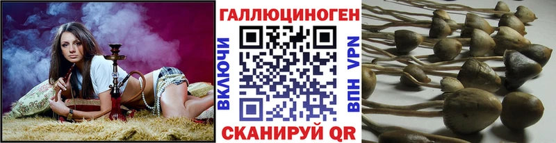 Купить где  Белореченск  Псилоцибиновые грибы мухоморы 